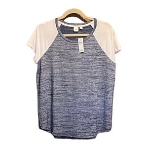 GAP Blue and White Short Sleeve Tee